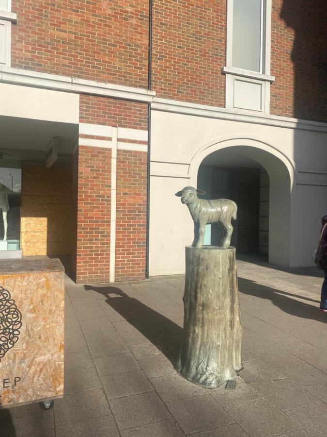 The Most Central Apartment In Canterbury Stunning Interiors, Fully Equipped, City Views And Free Wifi! Eksteriør billede